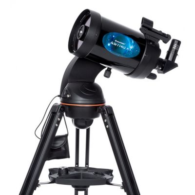 the best binoculars for hunting